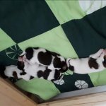 02Woche